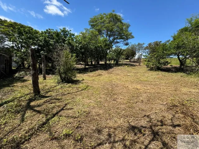 Imagem 10: SÍTIO RURAL em CAÇAPAVA - SP, RURAL