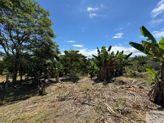 Imagem 12: SÍTIO RURAL em CAÇAPAVA - SP, RURAL