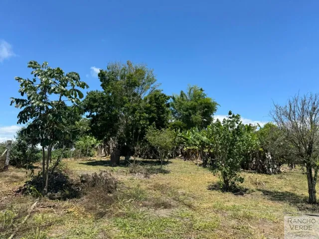 Imagem 14: SÍTIO RURAL em CAÇAPAVA - SP, RURAL