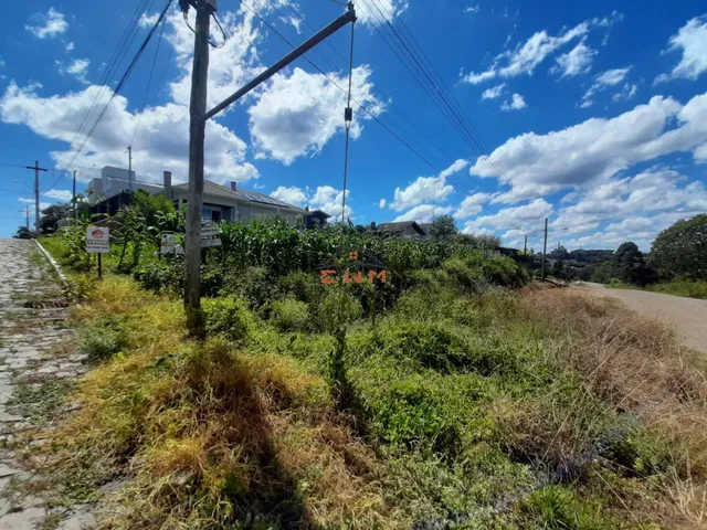 Imagem 4: Terreno de Esquina no Bairro São Luiz em Farroupilha/Rs
