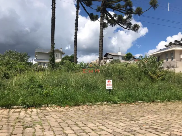 Imagem 2: Terreno no Bairro São Luiz em Farroupilha/Rs