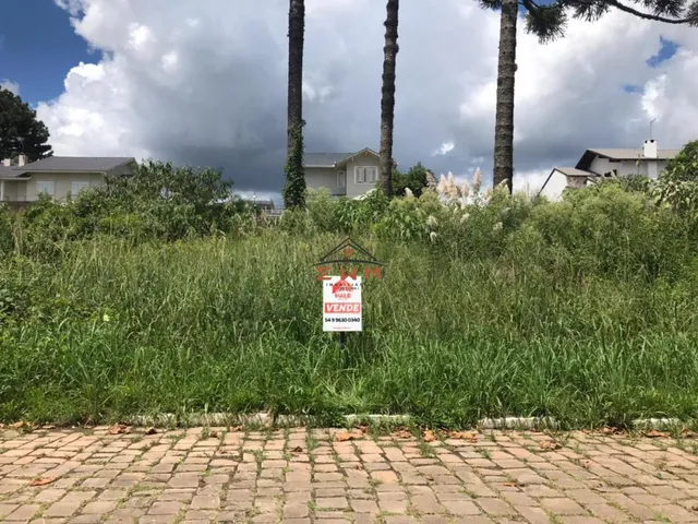 Imagem 3: Terreno no Bairro São Luiz em Farroupilha/Rs