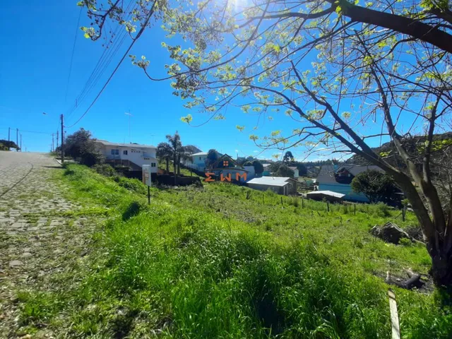 Imagem 5: Terreno no Bairro São Luís em Farroupilha/Rs