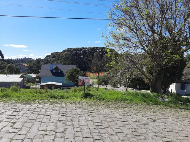 Imagem 6: Terreno no Bairro São Luís em Farroupilha/Rs