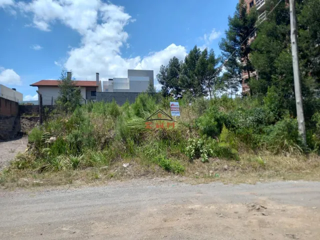 Imagem 3: Terreno no Bairro São Luiz em Farroupilha/Rs