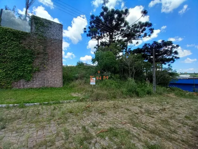 Imagem: Terreno no Bairro São Luiz em Farroupilha/Rs