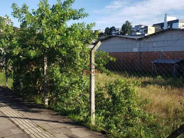 Imagem 3: Terreno no Bairro do Parque em Farroupilha/Rs