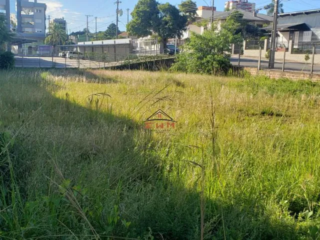 Imagem 6: Terreno no Bairro do Parque em Farroupilha/Rs