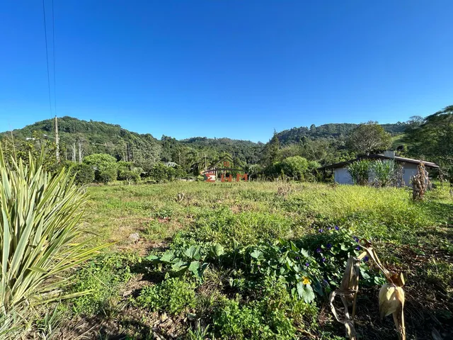 Imagem 2: Terreno na Linha Ely em Farroupilha/Rs
