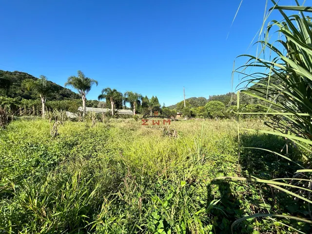 Imagem 3: Terreno na Linha Ely em Farroupilha/Rs
