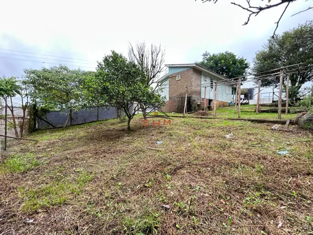 Imagem 4: Terreno no Bairro Vicentina em Farroupilha/Rs