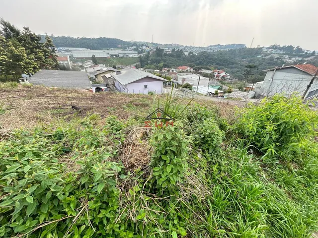 Imagem 4: Terreno de Esquina no Bairro América em Farroupilha/Rs