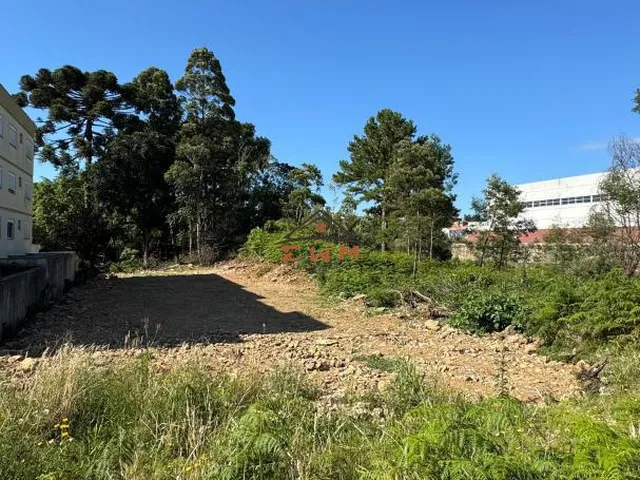 Imagem: Terreno no Bairro América em Farroupilha/Rs