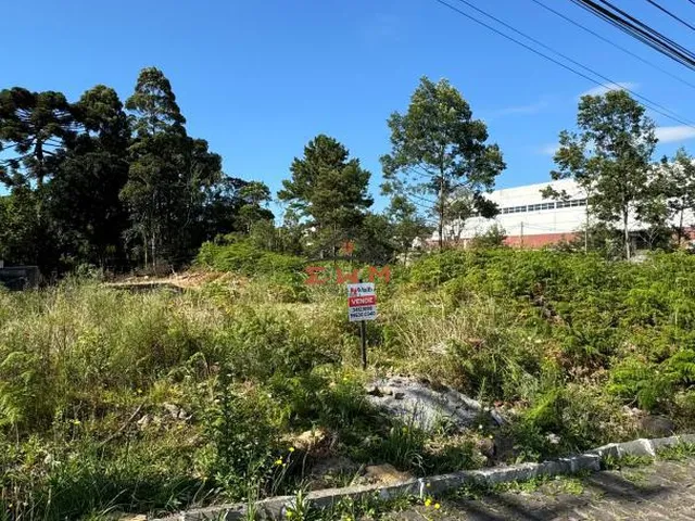 Imagem 2: Terreno no Bairro América em Farroupilha/Rs