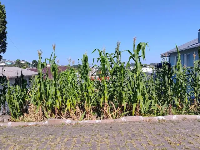 Imagem 3: Terreno no Bairro Cruzeiro em Farroupilha/Rs