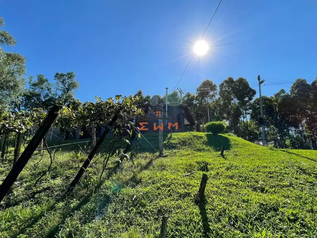 Imagem 13: Sítio À Venda em Farroupilha: Oportunidade Única! Semimobiliado
