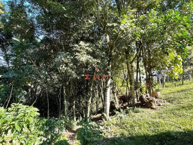 Imagem 16: Sítio À Venda em Farroupilha: Oportunidade Única! Semimobiliado