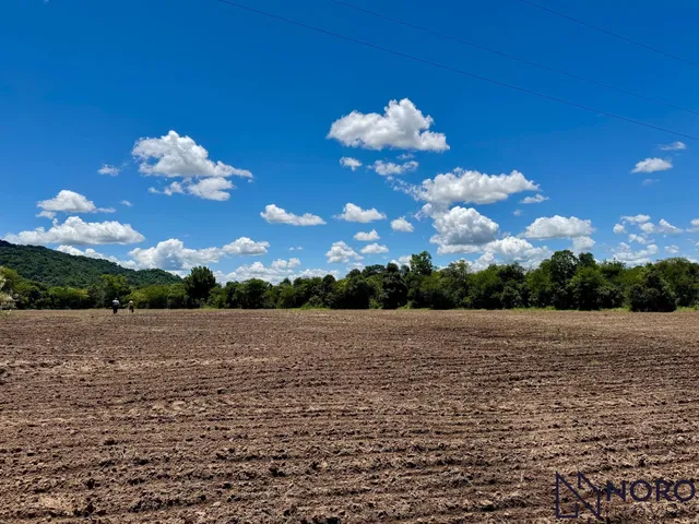 Imagem 12: Chácara próximo Camobi 13,37ha plana açude riacho rede elétrica sem benfeitorias