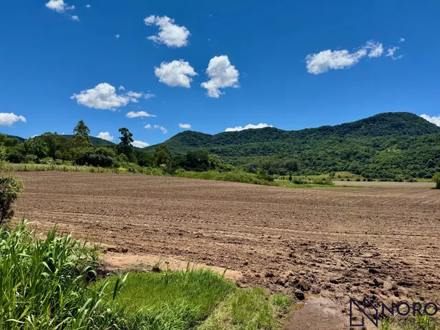 Imagem 5: Chácara próximo Camobi 13,37ha plana açude riacho rede elétrica sem benfeitorias