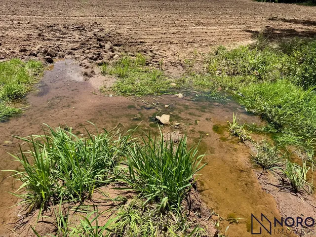 Imagem 4: Chácara próximo Camobi 13,37ha plana açude riacho rede elétrica sem benfeitorias