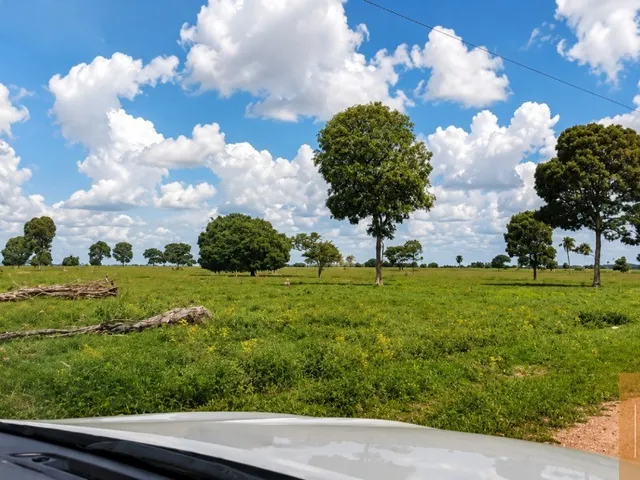 Imagem 4: FAZENDA 992 hectares (205 alqueires) ÀS MARGENS DO RIO ARAGUAIA Tocantins -TO