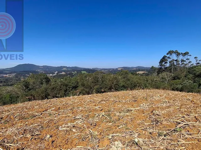 Imagem: Terreno em Bateias de Baixo, Campo Alegre/Sc