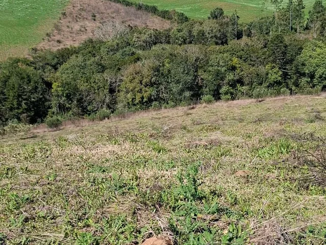 Imagem 8: Terreno em Bateias de Cima, Campo Alegre/SC