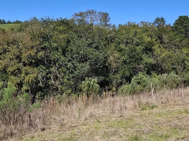 Imagem 4: Terreno em Bateias de Cima, Campo Alegre/SC