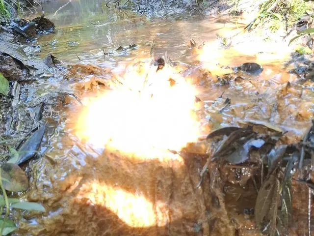 Imagem 12: Terreno em Bateias de Cima, Campo Alegre/SC