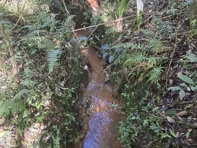 Imagem 11: Terreno em Bateias de Cima, Campo Alegre/SC