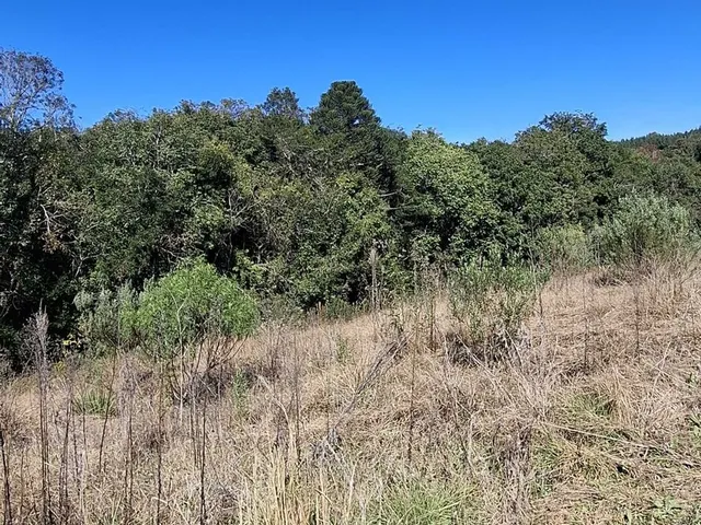 Imagem 3: Terreno em Bateias de Cima, Campo Alegre/SC