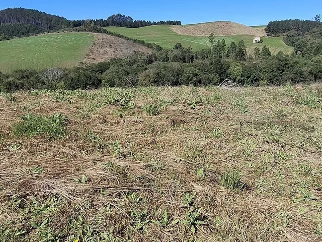 Imagem 6: Terreno em Bateias de Cima, Campo Alegre/SC