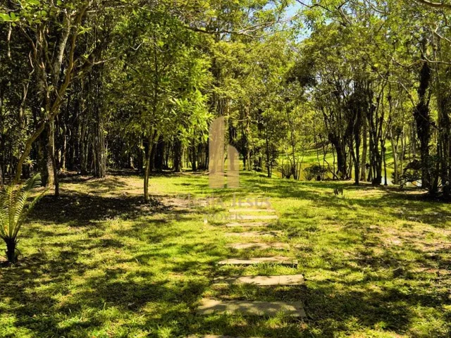 Imagem 5: Terreno em Condomínio no Rio do Meio em Camboriú/SC