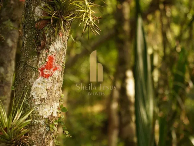 Imagem 11: Terreno em Condomínio no Rio do Meio em Camboriú/SC