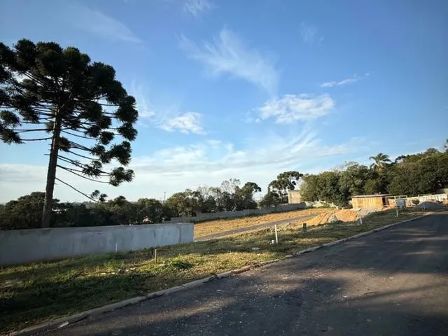 Imagem 7: Terreno para Venda em Curitiba / Pr no Bairro Taboão