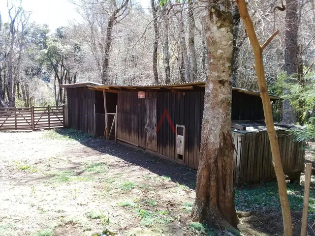 Imagem 6: Chácara à venda, Guairacá, GUARAPUAVA - PR