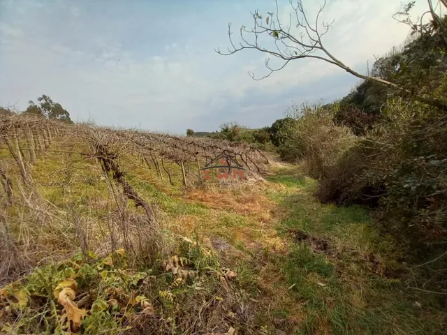 Imagem 2: Àrea Rural em Linha Jacinto, Farroupilha/Rs