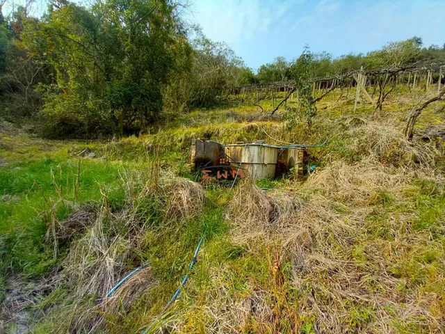 Imagem 3: Àrea Rural em Linha Jacinto, Farroupilha/Rs