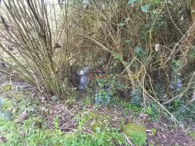 Imagem 4: Àrea Rural em Linha Jacinto, Farroupilha/Rs