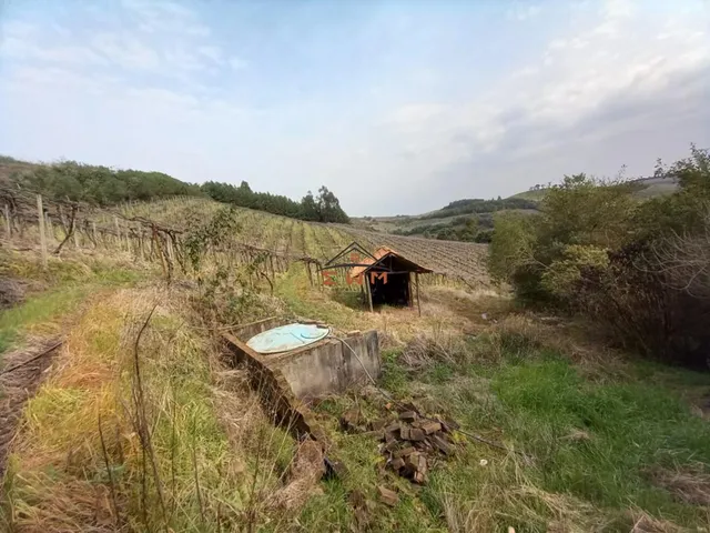 Imagem 5: Àrea Rural em Linha Jacinto, Farroupilha/Rs