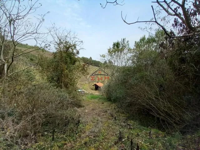 Imagem 6: Àrea Rural em Linha Jacinto, Farroupilha/Rs