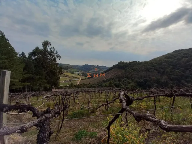 Imagem 7: Àrea Rural em Linha Jacinto, Farroupilha/Rs