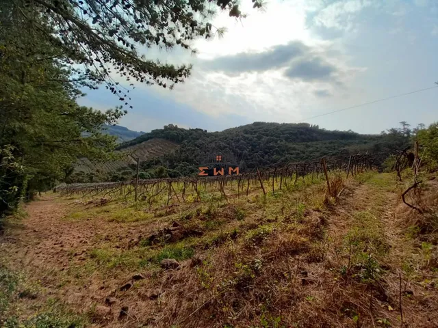 Imagem 8: Àrea Rural em Linha Jacinto, Farroupilha/Rs
