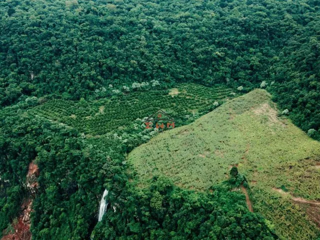 Imagem 4: Área de Terra em Vale Real/Rs