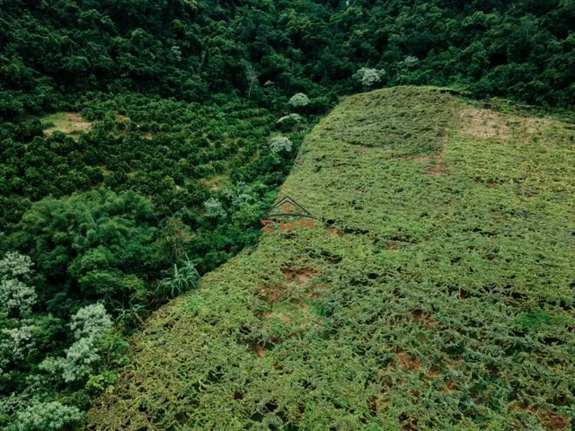Imagem 8: Área de Terra em Vale Real/Rs