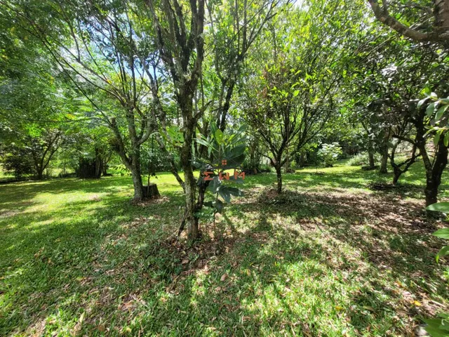 Imagem 2: Chácara em Linha Ely em Farroupilha/Rs