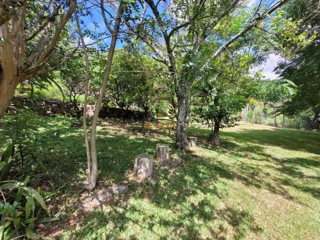 Imagem 7: Chácara em Linha Ely em Farroupilha/Rs