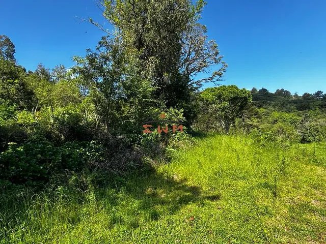 Imagem 16: Chácara em Linha São Miguel em Farroupilha/Rs