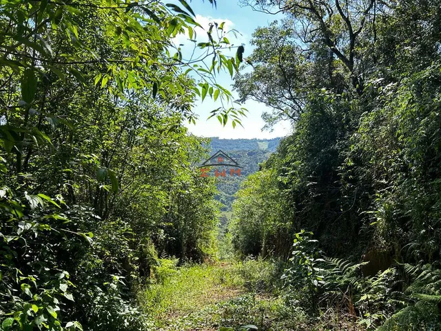 Imagem 2: Chácara em Linha São Miguel em Farroupilha/Rs
