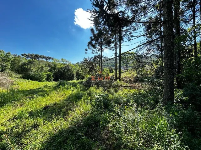 Imagem 6: Chácara em Linha São Miguel em Farroupilha/Rs